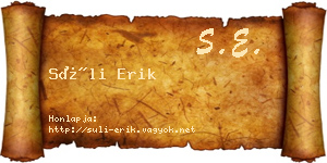Süli Erik névjegykártya